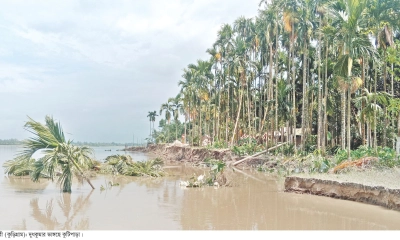 নাগেশ্বরীতে বাড়ছে নদীভাঙনের তীব্রতা