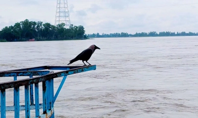 ছবি- রূপালী বাংলাদেশ