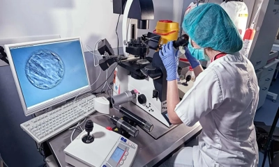 ডোনরের জিন সমস্যা, ১৯৭ শিশুর জীবন ঝুঁকিতে