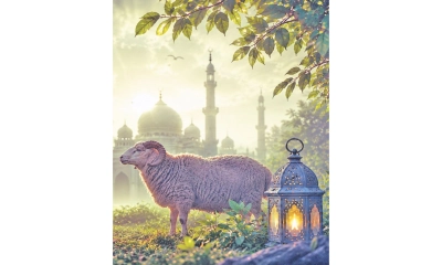 যে পরিমাণ সম্পদ থাকলে কোরবানি ওয়াজিব