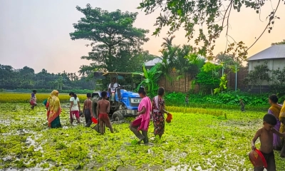প্রযুক্তির যুগেও শৈশবের  মাছ ধরার আনন্দ
