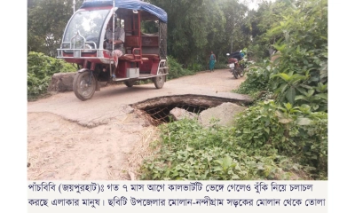 ভাঙা কালভার্ট এখন মরণফাঁদ  চরম ঝুঁকিতে হাজারো মানুষ