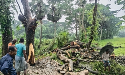 পাউবোর গাছ বিক্রির অভিযোগ, থানায় মামলা