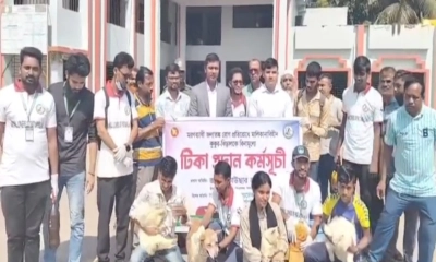 কলাপাড়ায় বেওয়ারিশ কুকুর-বিড়ালকে বিনামূল্যে টিকা প্রদান