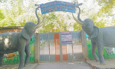 অযত্নে ধ্বংসের পথে কর্ণফুলীর এলিফ্যান্ট ইকো পার্ক