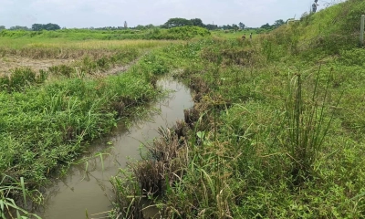 একসময়ের খরস্রোতা  খাল এখন সরু ড্রেন