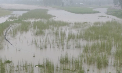 কুড়িগ্রামে তিস্তার পানি বিপৎসীমা ছুঁইছুঁই