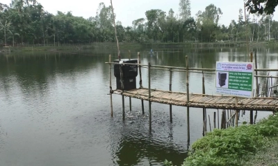 রাজারহাটে অটোমেশন প্রযুক্তিতে  মাছ চাষে নতুন সম্ভাবনা