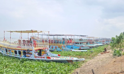 হাওরে অতিরিক্ত ভাড়া  ও সিন্ডিকেটের থাবা