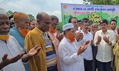 ২৫ কোটি বৃক্ষরোপণ কর্মসূচিতে গাজীপুর