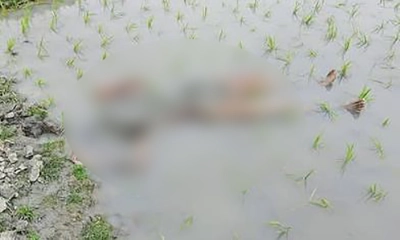 ফসলি জমিতে পুঁতে রাখা অজ্ঞাতনামা লাশ উদ্ধার