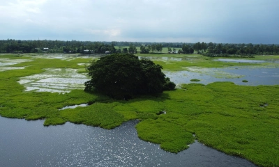 কল্পকাহিনির আড়ালে  মাদকের স্বর্গরাজ্য
