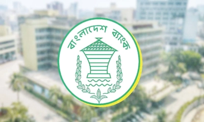 এজেন্টদের মাধ্যমে ভিসা ফি বিদেশে পাঠানোর অনুমতি