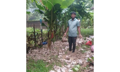 বন্যার পানিতে তলিয়ে  গেল সাদেকের স্বপ্ন