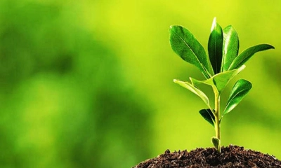 ফেনীতে বৃক্ষরোপণ অভিযান ও মেলার উদ্বোধন