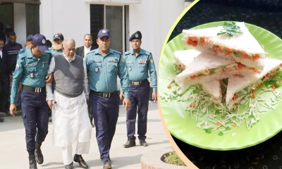 আদালতে ‘স্যান্ডউইচ’ চেয়ে পাননি আমু