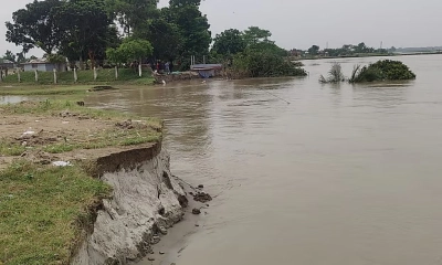 পদ্মার ভাঙনে এক রাতেই বিলীন বিজিবির বিওপি