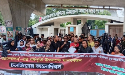 ‘৩৩ জুলাই বিটিভিতে উল্লাস-উৎসব করেছিল দলকানা শিল্পীরা’