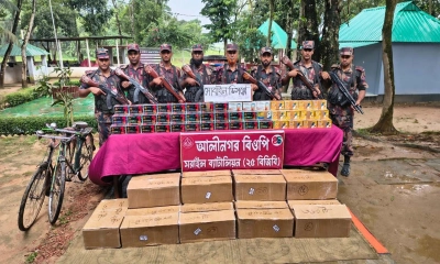 বিজিবির অভিযানে কোটি টাকার মোবাইল ডিসপ্লে জব্দ