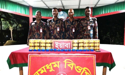 বান্দরবানের ঘুমধুম সীমান্তে ৪ লাখ ইয়াবা জব্দ করেছে বিজিবি