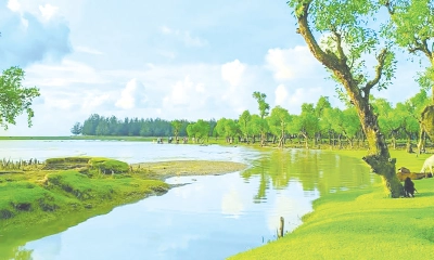 সবুজে মোড়া সাগরের বুকে লুকানো স্বর্গ