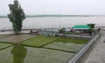 পর্যটনের অপার সম্ভাবনা গাইবান্ধার তিন নদীর বাঁধ
