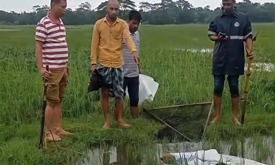 ছবি : সংগৃহীত