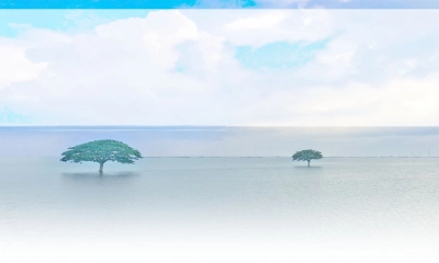 জলরঙে আঁকা অপরূপ নিকলী
