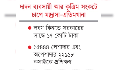 চামড়ায় এবারও সিন্ডিকেট শঙ্কা