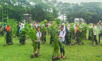 চরফ্যাশনে জলবায়ু ঝুঁকি মোকাবিলায় এফডিএ’র ব্যতিক্রমী উদ্যোগ