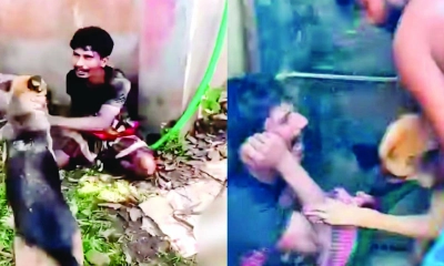 চুরির অভিযোগে যুবককে কুকুর লেলিয়ে নির্যাতন