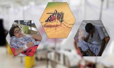 প্রতি মাসেই ডেঙ্গুতে আক্রান্ত ও মৃত্যুর সংখ্যা বাড়ছে