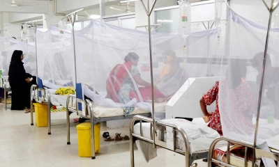 ডেঙ্গুতে আরও ৩ মৃত্যু, হাসপাতালে ৪০৯ রোগী