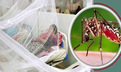 ডেঙ্গুতে আরও এক মৃত্যু, হাসপাতালে ভর্তি ৪৩৪