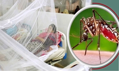 ডেঙ্গুতে আরও ২ মৃত্যু, একদিনে হাসপাতালে ৬৭৮