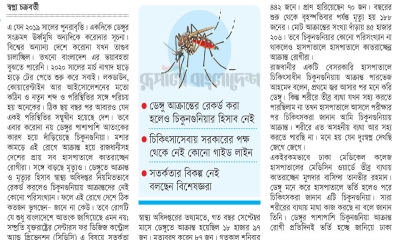 ডেঙ্গুর সঙ্গে পাল্লা দিয়ে বাড়ছে চিকুনগুনিয়া