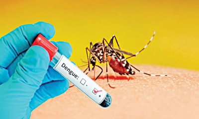 ডেঙ্গুতে আজও ২ জনের মৃত্যু, হাসপাতালে ১৯৪