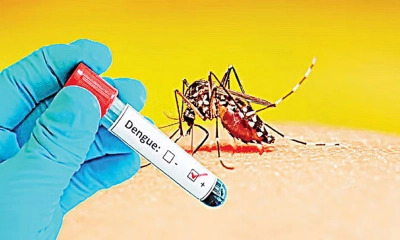 ডেঙ্গুতে মৃত্যু ১০০ ছাড়াল