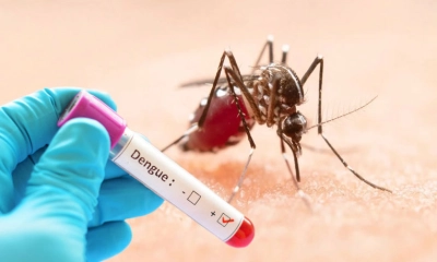 ডেঙ্গুতে আরও ৩ মৃত্যু, হাসপাতালে ১০০৭