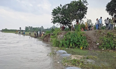 ধুনটে যমুনার ভয়াল ভাঙনে এক মাসে বিলীন ৫০০ বিঘা ফসলি জমি