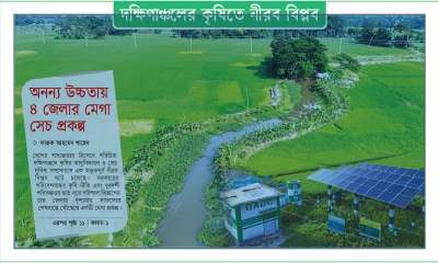 দক্ষিণাঞ্চলের কৃষিতে নীরব বিপ্লব