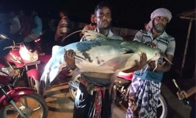 ছবি : সংগৃহীত
