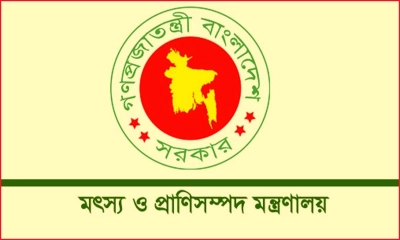 বিদেশ থেকে গরুর মাংস আমদানির খবর মিথ্যা