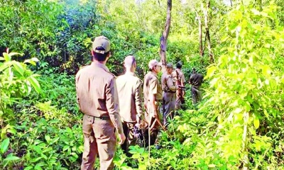 ৪৫৪ ফরেস্টারের পদোন্নতিতে বনে ফিরেছে কর্মচাঞ্চল্য