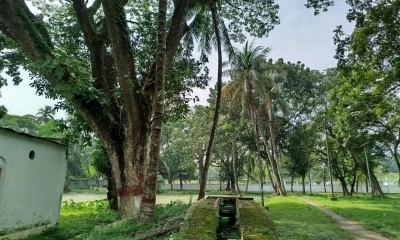 ‘গাছ কেটে উন্নয়ন প্রকল্প বাস্তবায়ন করা যাবে না’