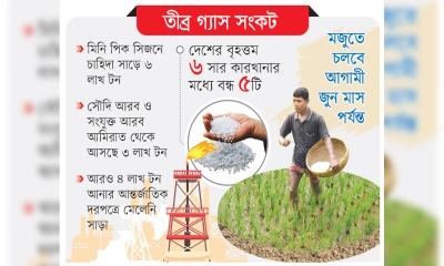 ইউরিয়া সার উৎপাদন বন্ধ, হুমকিতে কৃষি