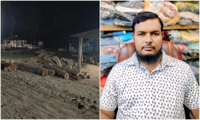 সরকারি গাছ কেটে বিক্রির অভিযোগে শ্রমিক দল নেতার বিরুদ্ধে মামলা