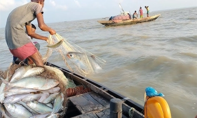 নিষেধাজ্ঞা শেষ, জেলেদের জালে উঠছে ইলিশ