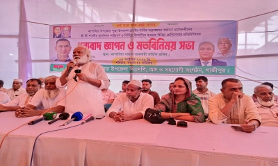 কাপাসিয়ায় শান্তিপূর্ণ দুর্গোৎসব উদযাপন, বিএনপির ধন্যবাদ জ্ঞাপন