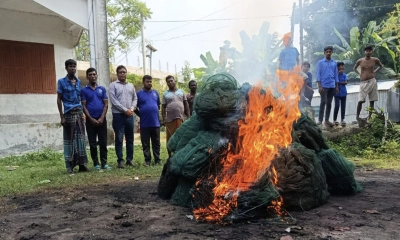 টুঙ্গিপাড়ায় ৫ লাখ টাকার চায়না দুয়ারী জাল পুড়িয়ে ধ্বংস
